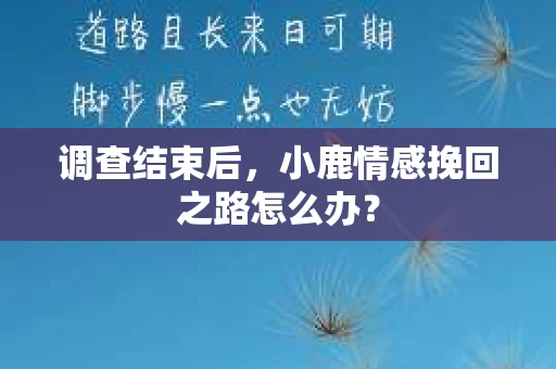 调查结束后，小鹿情感挽回之路怎么办？