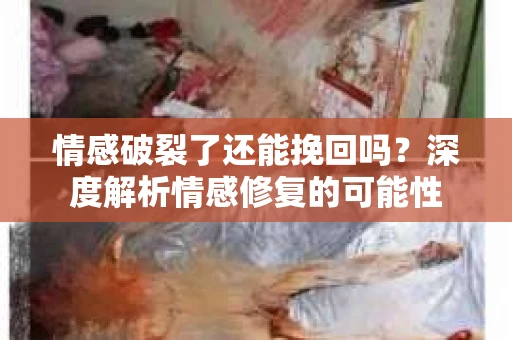 情感破裂了还能挽回吗？深度解析情感修复的可能性