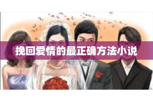 挽回爱情的最正确方法小说