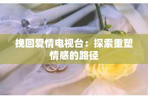 挽回爱情电视台：探索重塑情感的路径