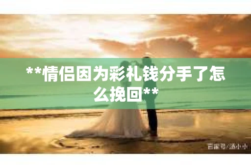 **情侣因为彩礼钱分手了怎么挽回**