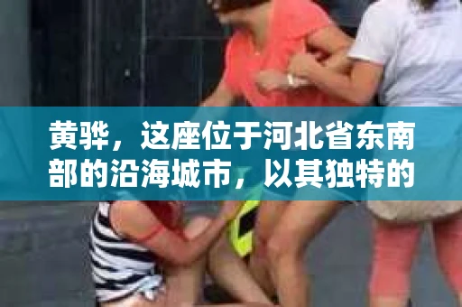 黄骅，这座位于河北省东南部的沿海城市，以其独特的地理位置和丰富的历史文化而闻名。然而，在这座城市中，还有一群人，他们以另一种方式默默守护着社会的公平与正义——私家侦探。今天，我们就来聊聊黄骅的私家侦探，看看他们是如何在这个城市中发挥作用的。