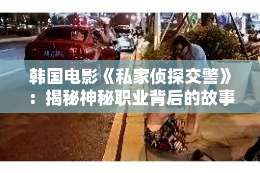 韩国电影《私家侦探交警》：揭秘神秘职业背后的故事