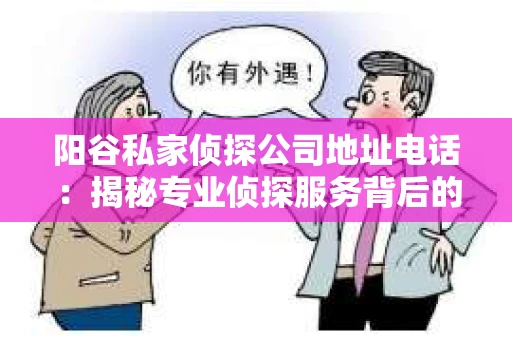阳谷私家侦探公司地址电话：揭秘专业侦探服务背后的故事