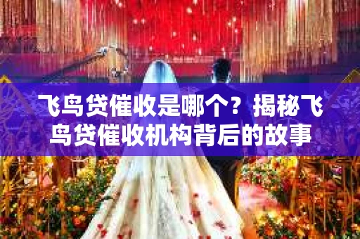飞鸟贷催收是哪个？揭秘飞鸟贷催收机构背后的故事