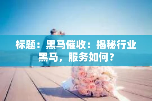 标题：黑马催收：揭秘行业黑马，服务如何？
