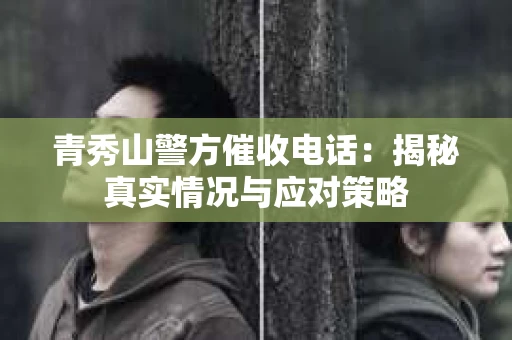 青秀山警方催收电话：揭秘真实情况与应对策略