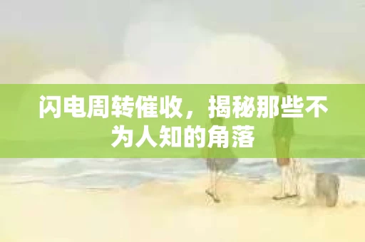 闪电周转催收，揭秘那些不为人知的角落
