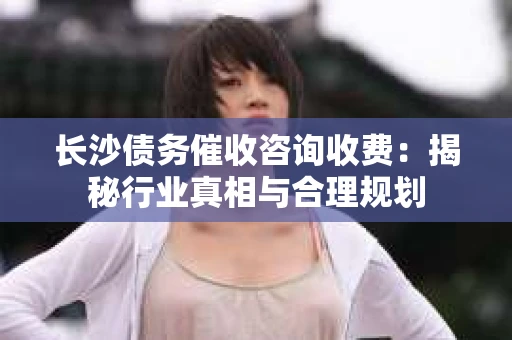 长沙债务催收咨询收费：揭秘行业真相与合理规划