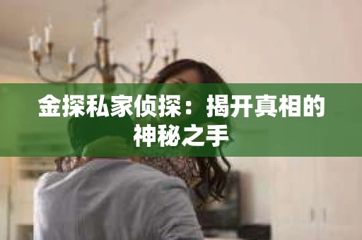 金探私家侦探：揭开真相的神秘之手