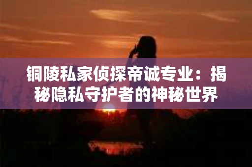 铜陵私家侦探帝诚专业：揭秘隐私守护者的神秘世界