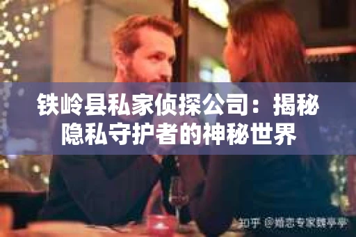 铁岭县私家侦探公司：揭秘隐私守护者的神秘世界