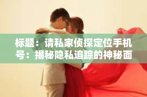 标题：请私家侦探定位手机号：揭秘隐私追踪的神秘面纱