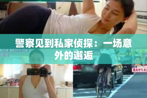 警察见到私家侦探：一场意外的邂逅