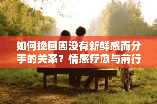 如何挽回因没有新鲜感而分手的关系？情感疗愈与前行计划