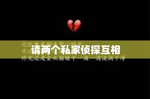 请两个私家侦探互相