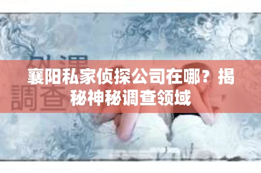 襄阳私家侦探公司在哪？揭秘神秘调查领域