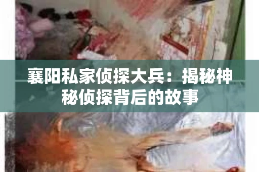 襄阳私家侦探大兵：揭秘神秘侦探背后的故事
