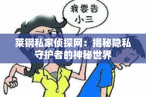 莱钢私家侦探网：揭秘隐私守护者的神秘世界
