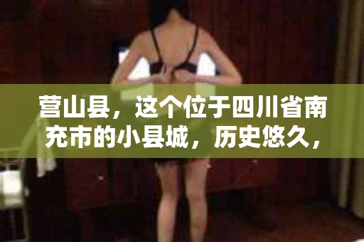 营山县，这个位于四川省南充市的小县城，历史悠久，风景秀丽。但在这个宁静的小县城里，你是否会好奇，有没有私家侦探的存在呢？今天，我就来和大家聊聊这个话题。