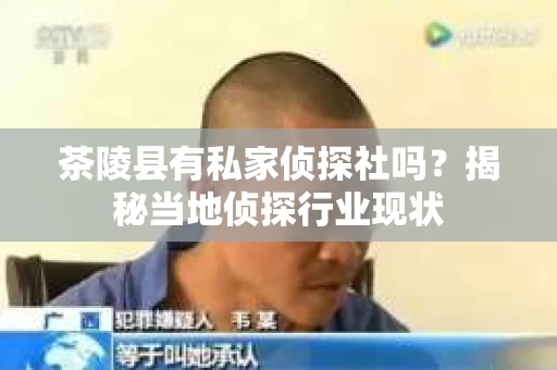 茶陵县有私家侦探社吗？揭秘当地侦探行业现状