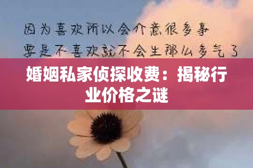 婚姻私家侦探收费：揭秘行业价格之谜