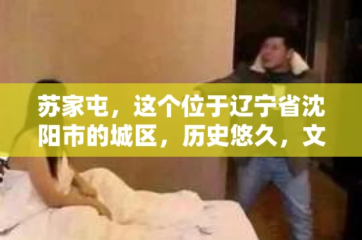 苏家屯，这个位于辽宁省沈阳市的城区，历史悠久，文化底蕴深厚。近年来，随着社会的发展，人们对于私家侦探的需求也逐渐增加。那么，苏家屯有私家侦探吗？今天，我们就来聊聊这个话题。