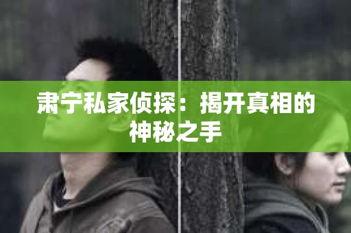 肃宁私家侦探：揭开真相的神秘之手