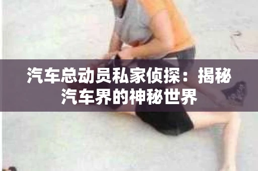 汽车总动员私家侦探：揭秘汽车界的神秘世界