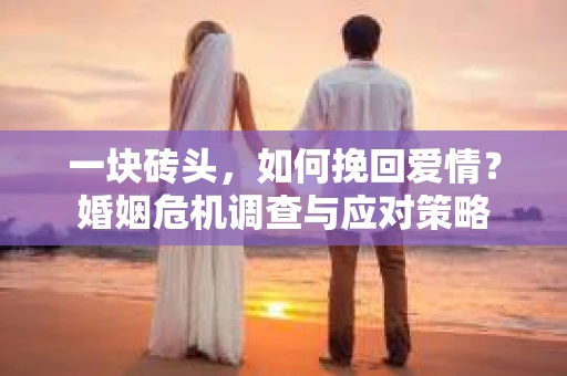 一块砖头，如何挽回爱情？婚姻危机调查与应对策略