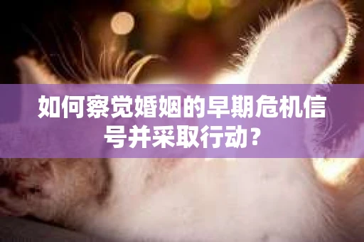 如何察觉婚姻的早期危机信号并采取行动？