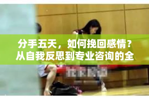 分手五天，如何挽回感情？从自我反思到专业咨询的全面解决方案
