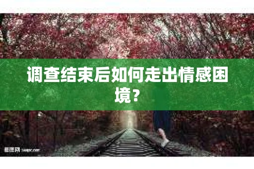 调查结束后如何走出情感困境? 调查结束后如何走出情感困境?