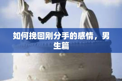如何挽回刚分手的感情,男生篇 如何挽回刚分手的感情,男生篇