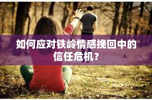 如何应对铁岭情感挽回中的信任危机？