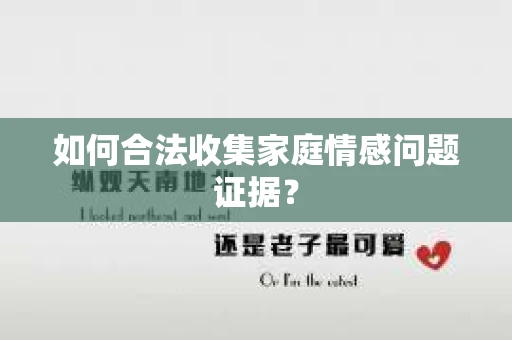 如何合法收集家庭情感问题证据？