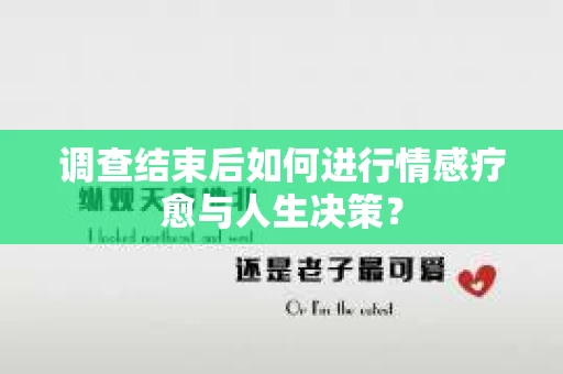 调查结束后如何进行情感疗愈与人生决策？