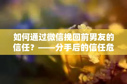 如何通过微信挽回前男友的信任？——分手后的信任危机解决方案